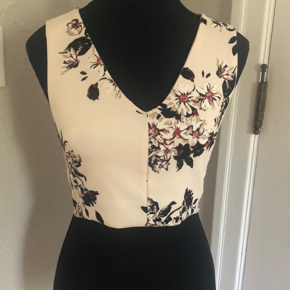 Ladies Dynamite Floral Crop Top With Zipper Back - Size Small